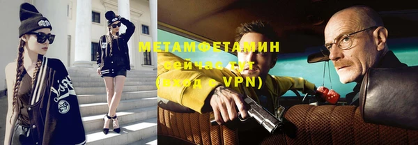 индика Осинники