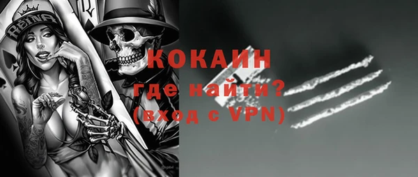 индика Осинники