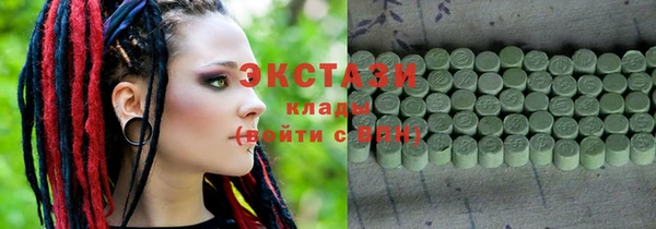 индика Осинники