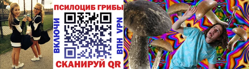 наркотики Северо-Курильск Галлюциногенные грибы Psilocybine cubensis